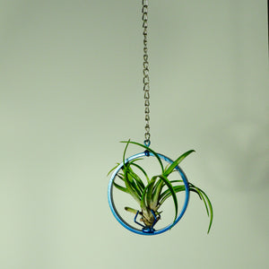 hanging air plant holder metal display chain vertical garden indoor garden