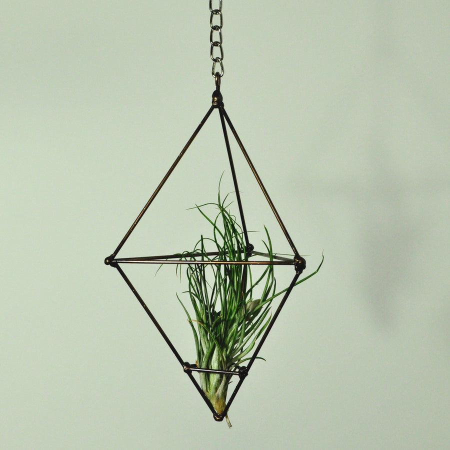 hanging plants air plant display metal prism indoor vertical garden gold