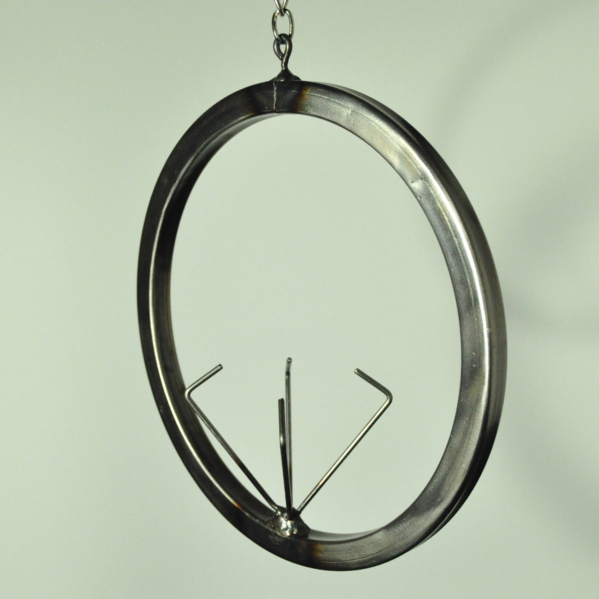 Hanging Air Plant Holder Large Steel Circle with Large Leafy Air Plant –  Welder Girl