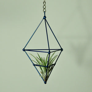 hanging air plant display metal prism indoor vertical garden blue