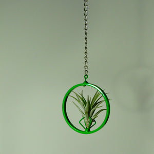 hanging air plant display metal holder chain green vertical garden