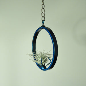 air plant holder metal stand blue tillandsia small hanging chain