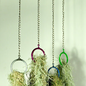hanging plants air plant holder vertical garden moss display steel rings