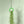 hanging plants air plant display moss indoor vertical garden green metal ring