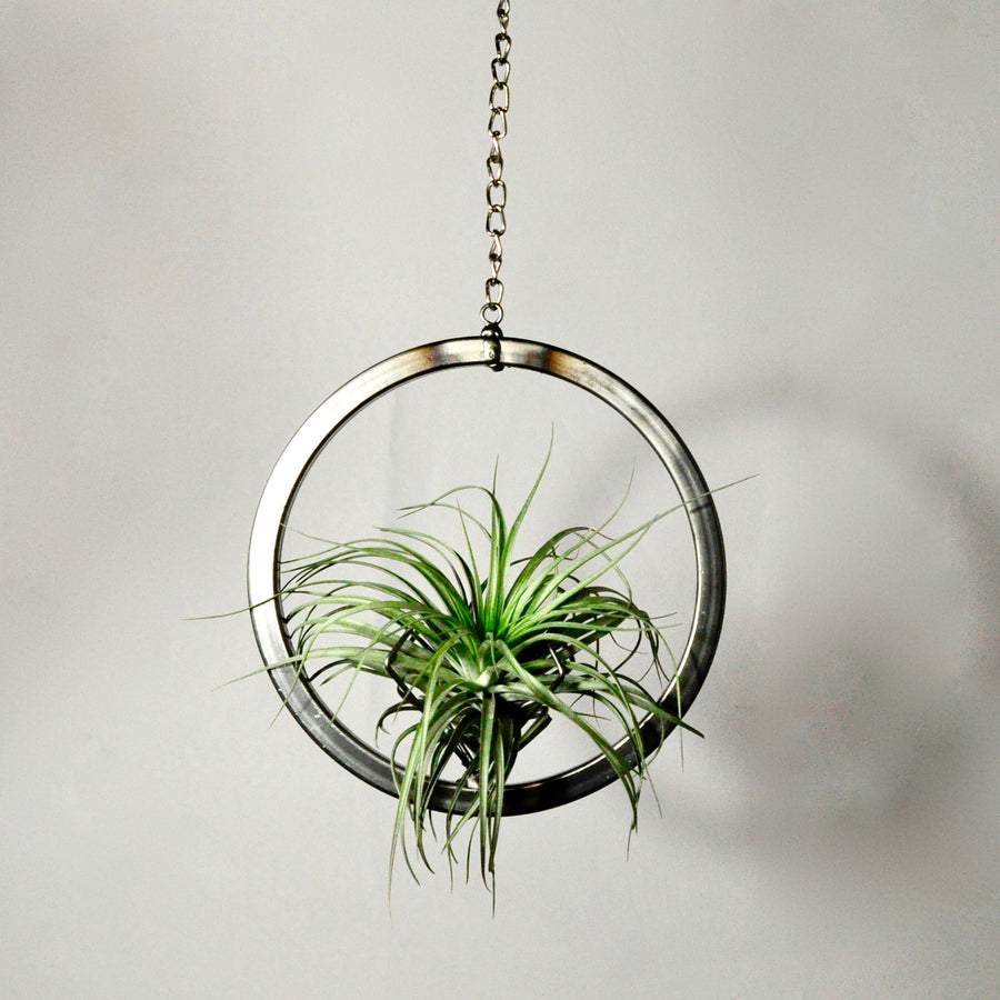 hanging metal air plant holder circle on chain
