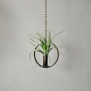 Hanging Air Plant Holder: Circle with Cylinder