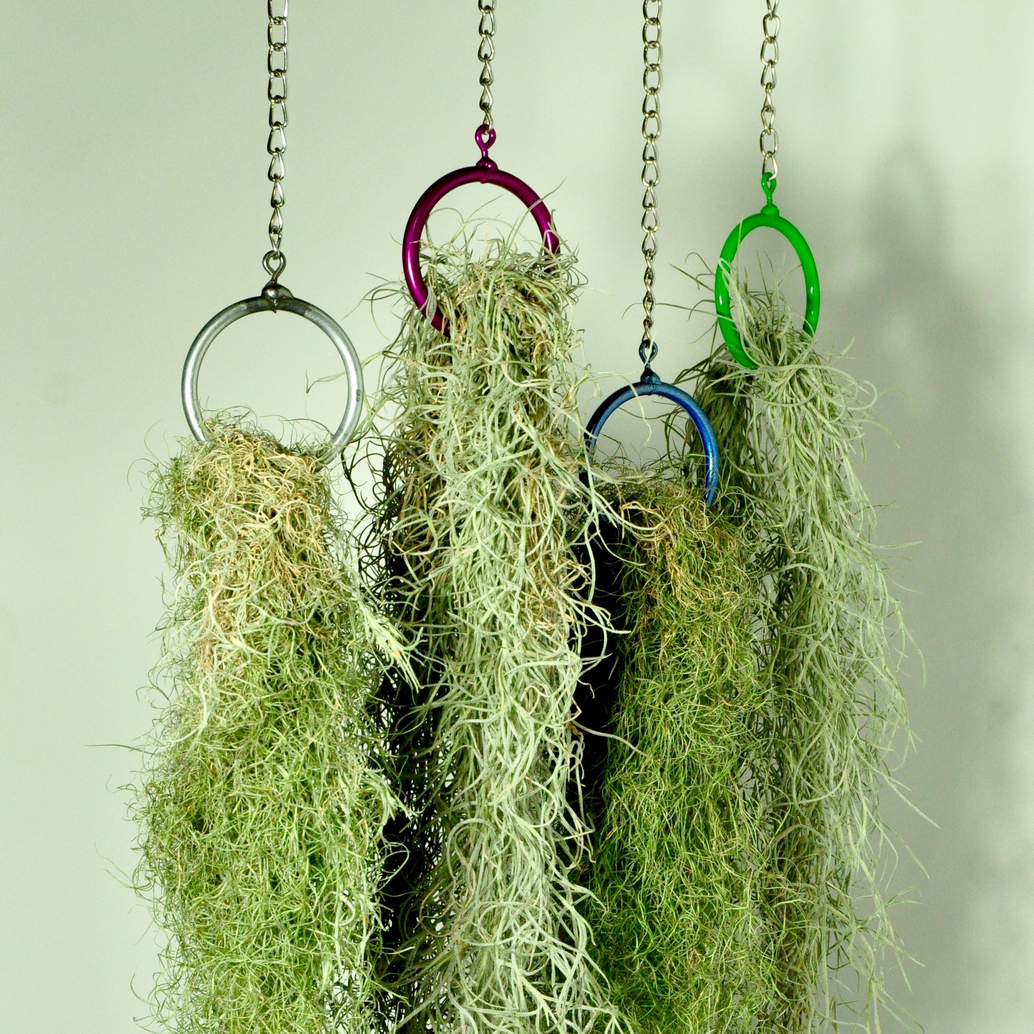 70cm artificial trailing spanish moss / tilandsia plant, green, So