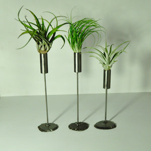 air plant stand metal holder for indoor plants tillandsia display three plants with stands