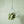 Hanging Air Plant Holder: Large Prism 12.5"