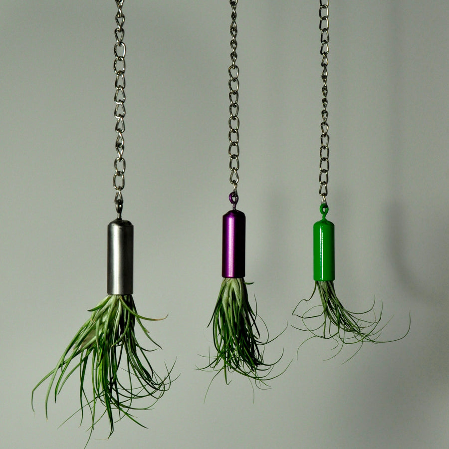 hanging metal air plant holder displays purple green steel with tillandsia