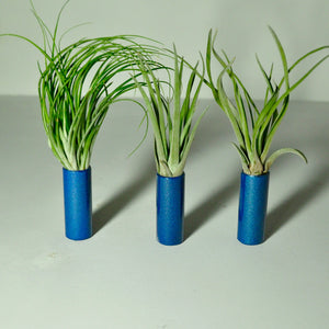 air-plant-holder-house-plants-metal-stands-steel-tube-tillandsia-display-blue-sparkle