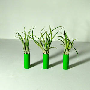 air-plant-holder-house-plants-metal-stands-steel-tube-tillandsia-display-green
