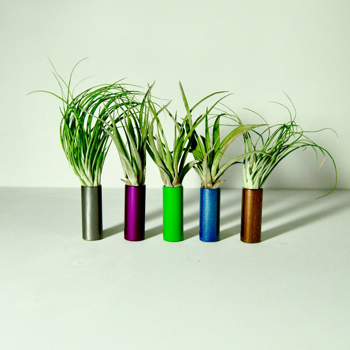 air-plant-holder-house-plants-metal-stands-tube
