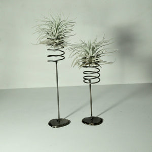 Large Spring Stand Air Plant Holder