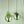 air plants stricta tillandsia hanging display metal green