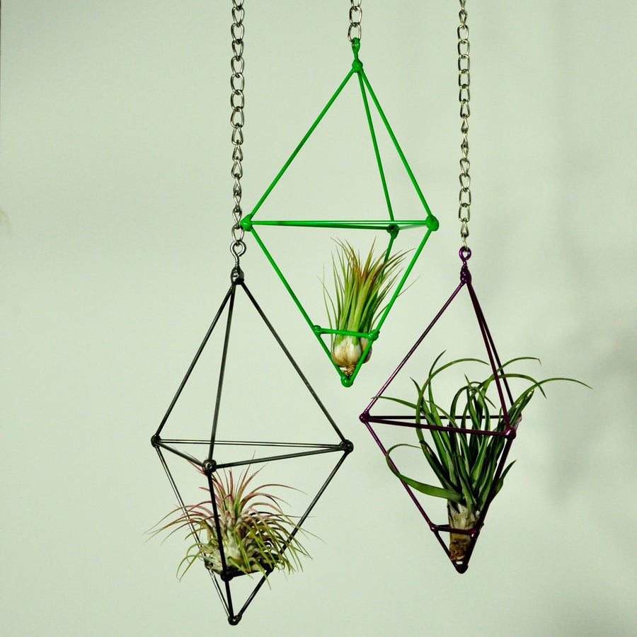 hanging plants air plant display metal prism indoor vertical garden tillandsia