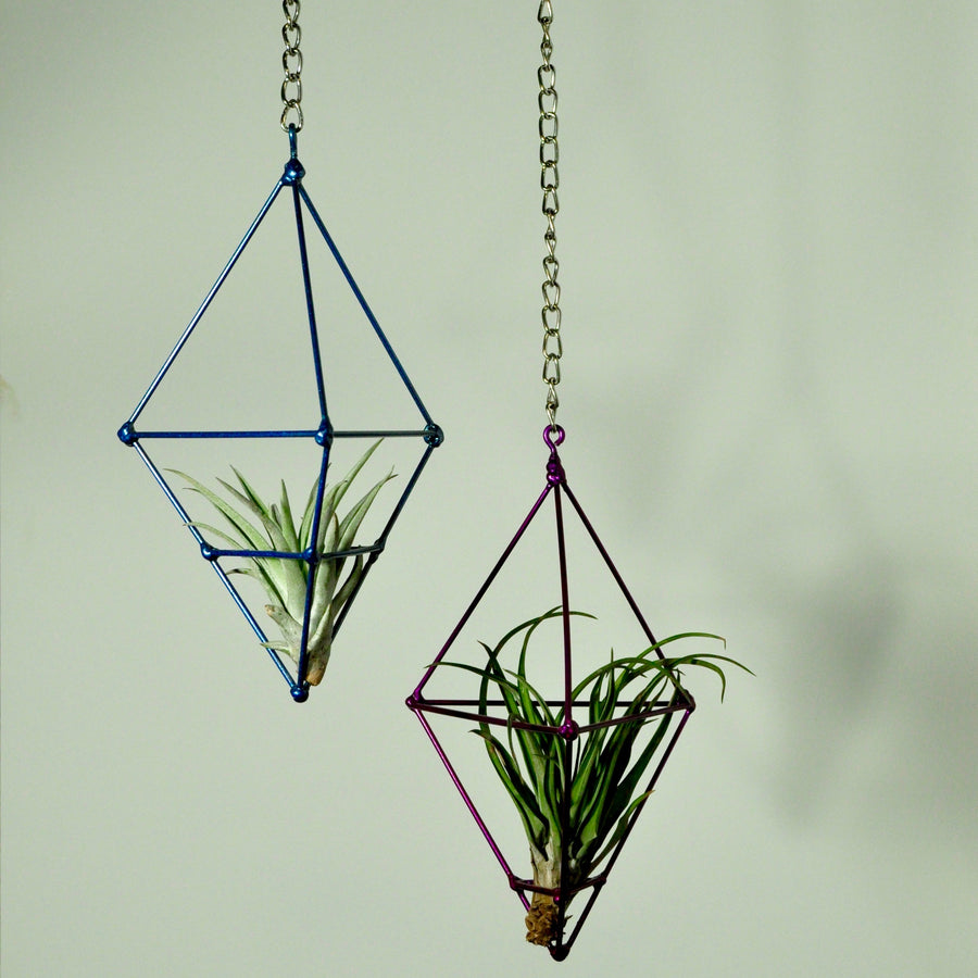 hanging plants air plant display metal prism indoor vertical garden blue purple tillandsia