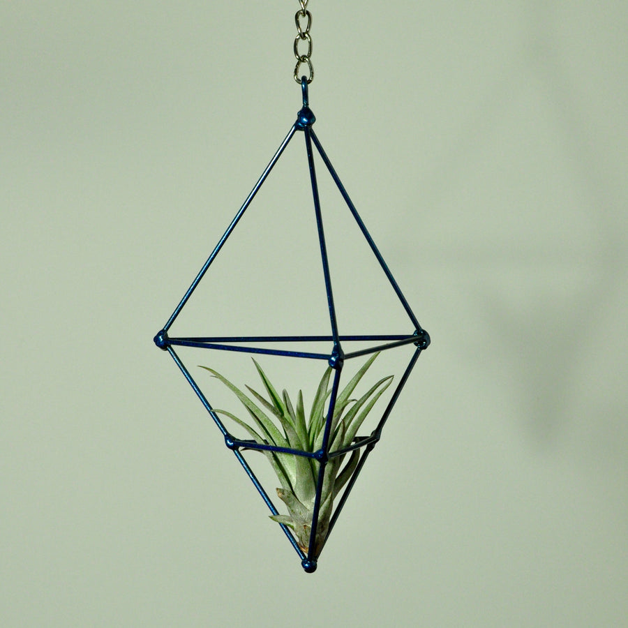 hanging air plant display metal prism indoor vertical garden blue