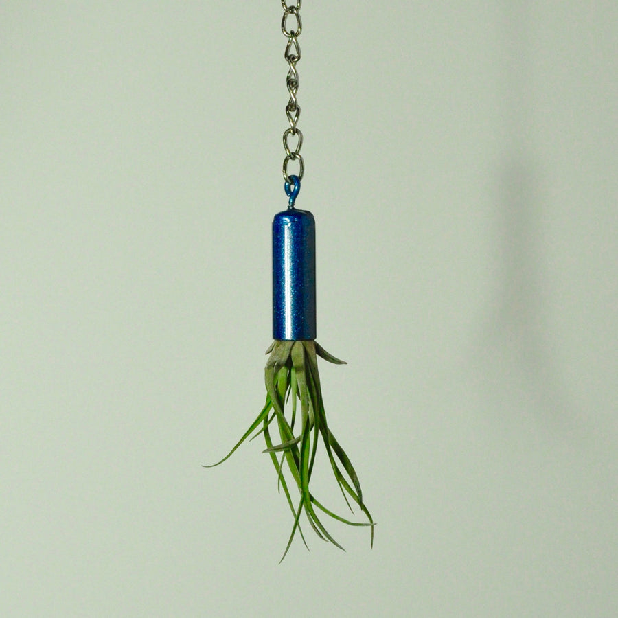 hanging-plant-holder-metal-display-blue-for-tillandsia