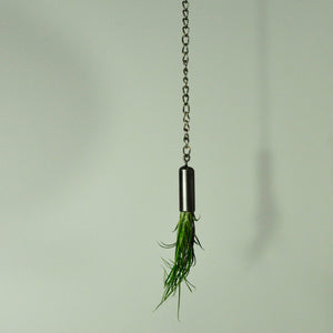 hanging plants metal air plant holder indoor garden