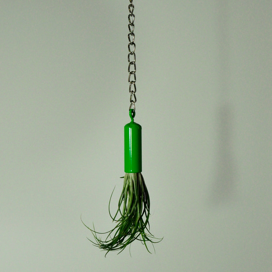 hanging-plant-holder-metal-display-green-for-tillandsia
