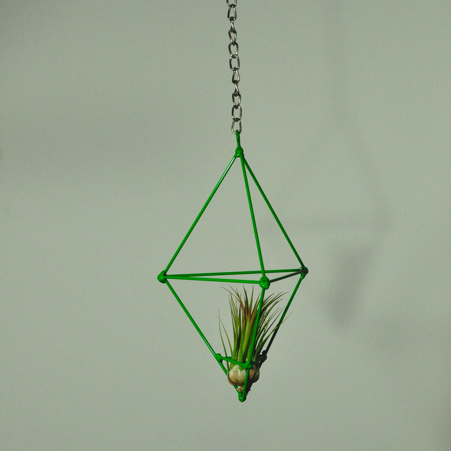 hanging air plant display metal prism indoor vertical garden green