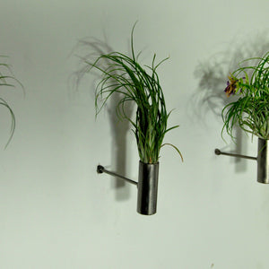 wall mounted planters air plant holder indoor wall garden