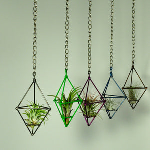 hanging plants air plant holder small prism chain