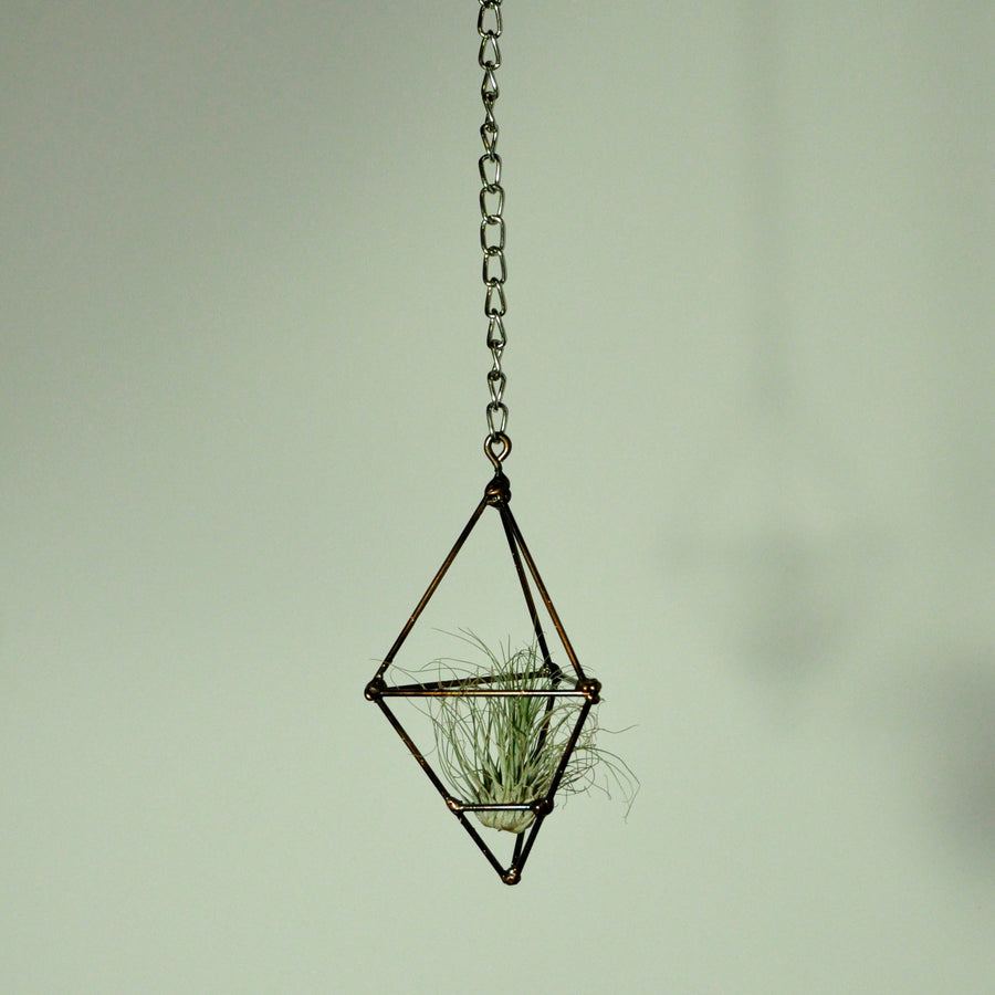 hanging air plant holder prism display metal gold tillandsia
