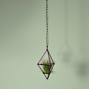 hanging air plant display prism holder metal purple small chain tillandsia