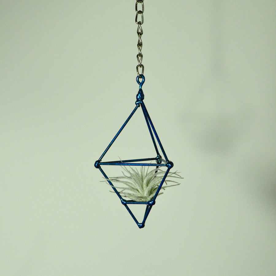 hanging air plant holder blue prism on chain metal