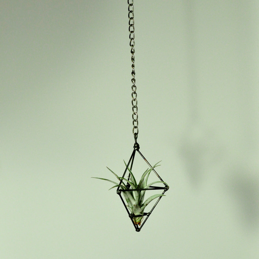hanging plants air plant holder small prism chain steel indoor plants